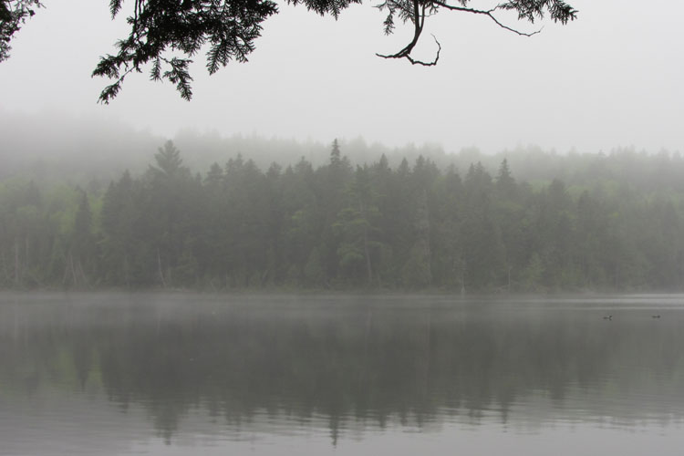 A Wilderness Lake
