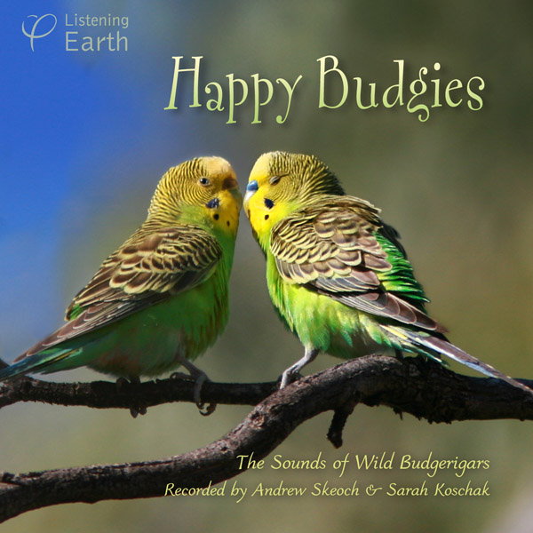 Happy Budgies the calls songs of wild Budgerigars, Australia