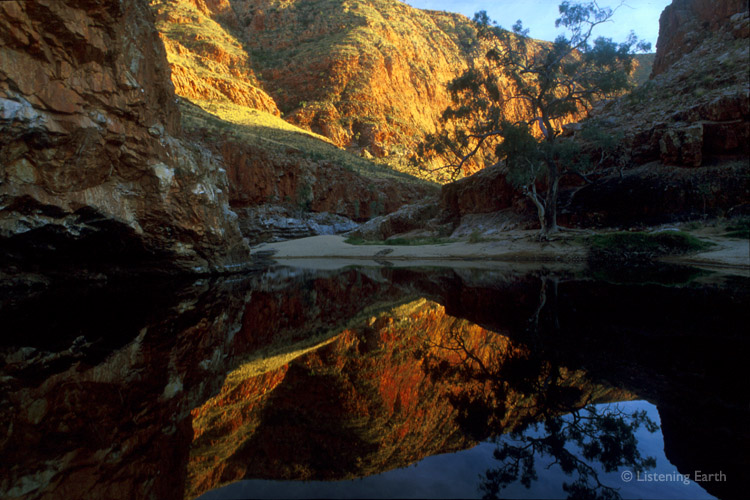 Ormiston Gorge reflected in the still waters of the pool at it's entrance. <br>This is the recording location for the first and last tracks.