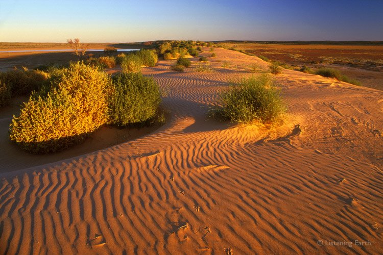 Dunes and ephemeral lake near Oodnadatta in the South Australian outback