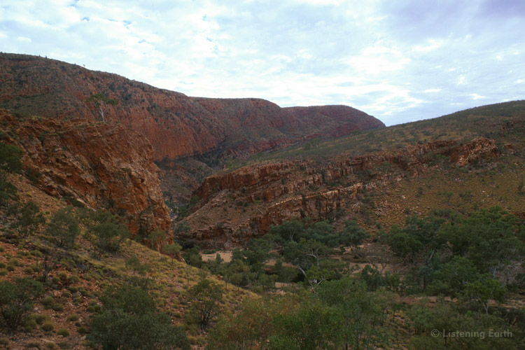Overlooking Ormiston Gorge. The waterhole can just be seen in the centre