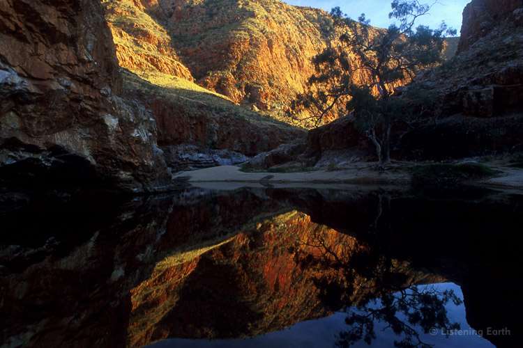 The walls of Ormiston Gorge, from the far end of the waterhole just after sunrise