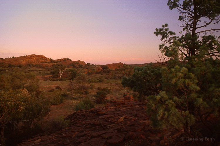 Mootwingee - this was the ridge-top location I recorded the <br>Spiney-cheeked Honeyeaters at dawn