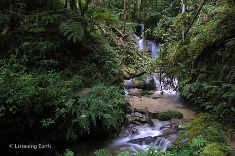 Rainforest waterfall, Mamassa district, central Sulawesi