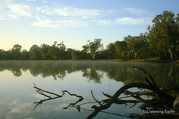 Mist hangs on the waters of the Murray River, NSW/Victoria