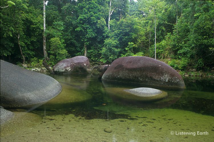 Massive granitic boulders in rainforest stream, north Queensland