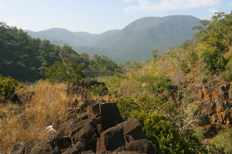 Deciduous and evergreen forest at Satkosia, Orissa, recording location for track 1