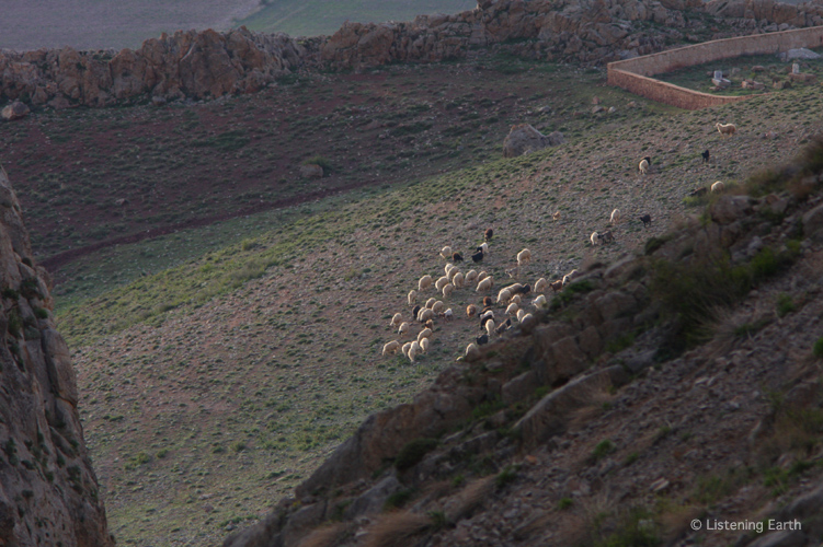 The bells of grazing sheep echo wonderously around the rock walls