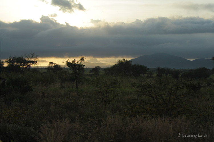 Sunrise across Mkomazi