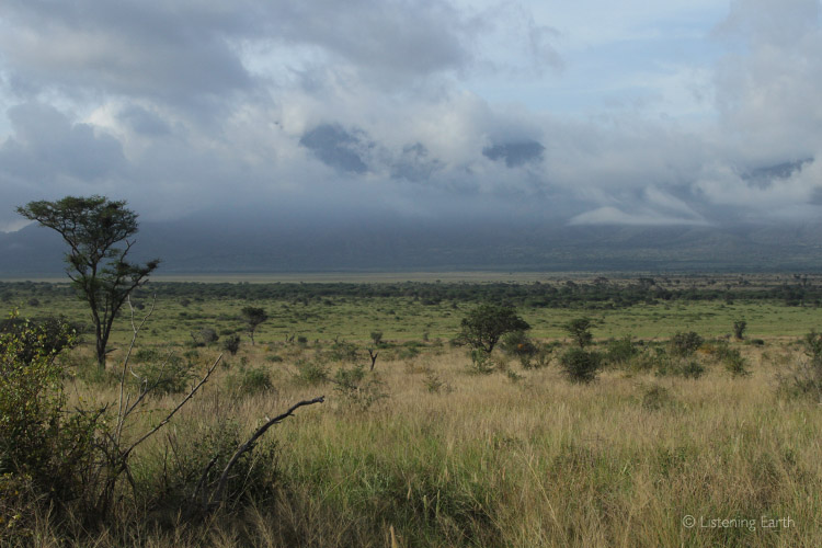 The Pare Mountains form a backdrop to the open plains of Mkomazi National Park