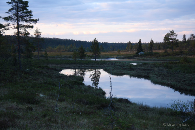 Peatbogs, stands of conifer and waterways