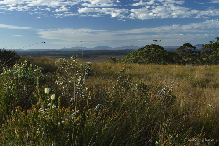 These plains are also precious, home to as much, <br>if not more, biodiversity than the rainforests