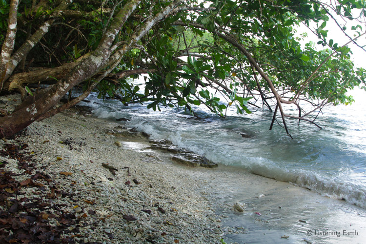 Recording location; Tetepare Island, Solomon Islands