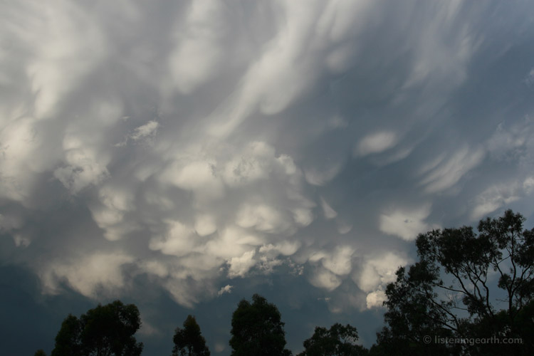 Rarely seen mammatus clouds are often the harbingers of thunderstorms