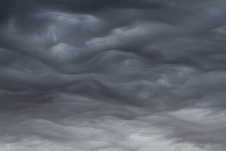 Asperatus clouds are also rare, often encountered between stormfronts<br>and form where turbulent air ripples the cloud base