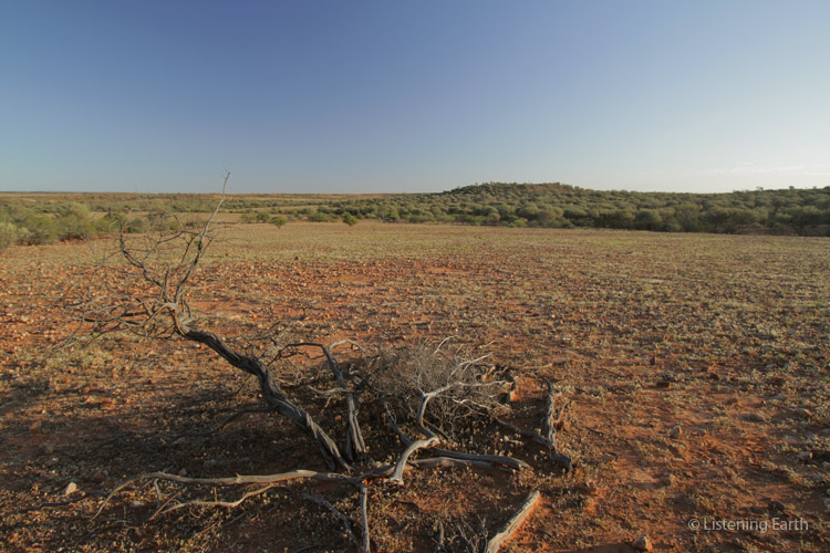 Looking out over open country toward mulga-covered hills and dry creeklines