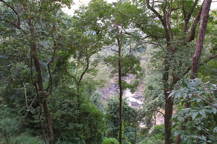 Open stream beds are charateristic of the geology of <br/>both the eastern and western Ghats of India