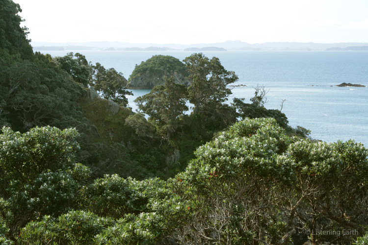 View from Tiritiri across to the mainland