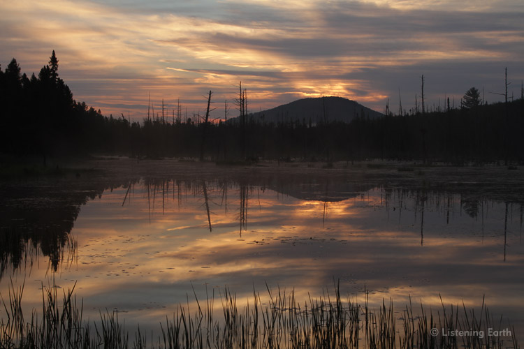 Beaver Lake at dawn