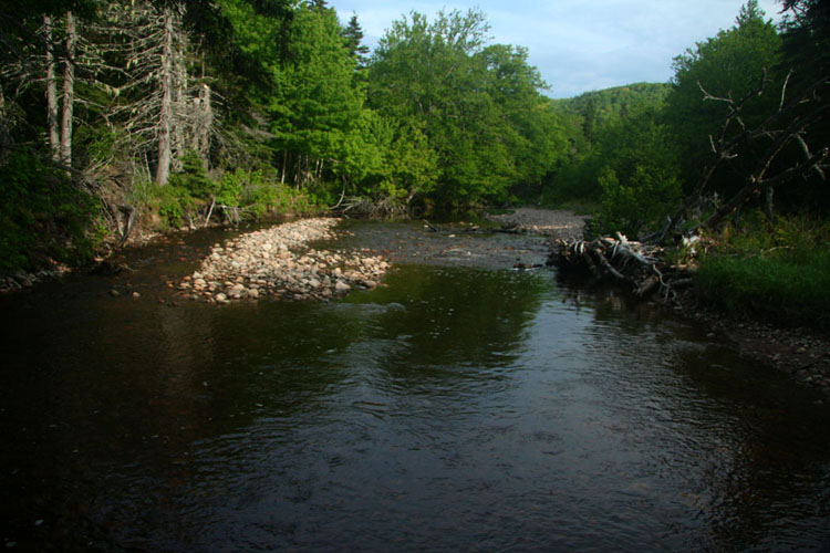 Near the recording Location, a river sweeps down from the plateau