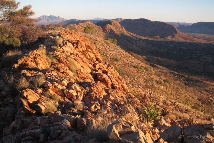 Listening Earth Blog » Blog Archive » Walking the Larapinta Trail